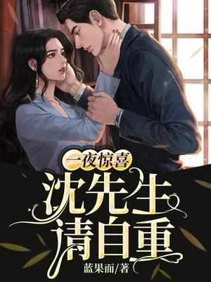 一夜惊喜:沈先生,请自重 一夜惊喜:沈先生,请自重